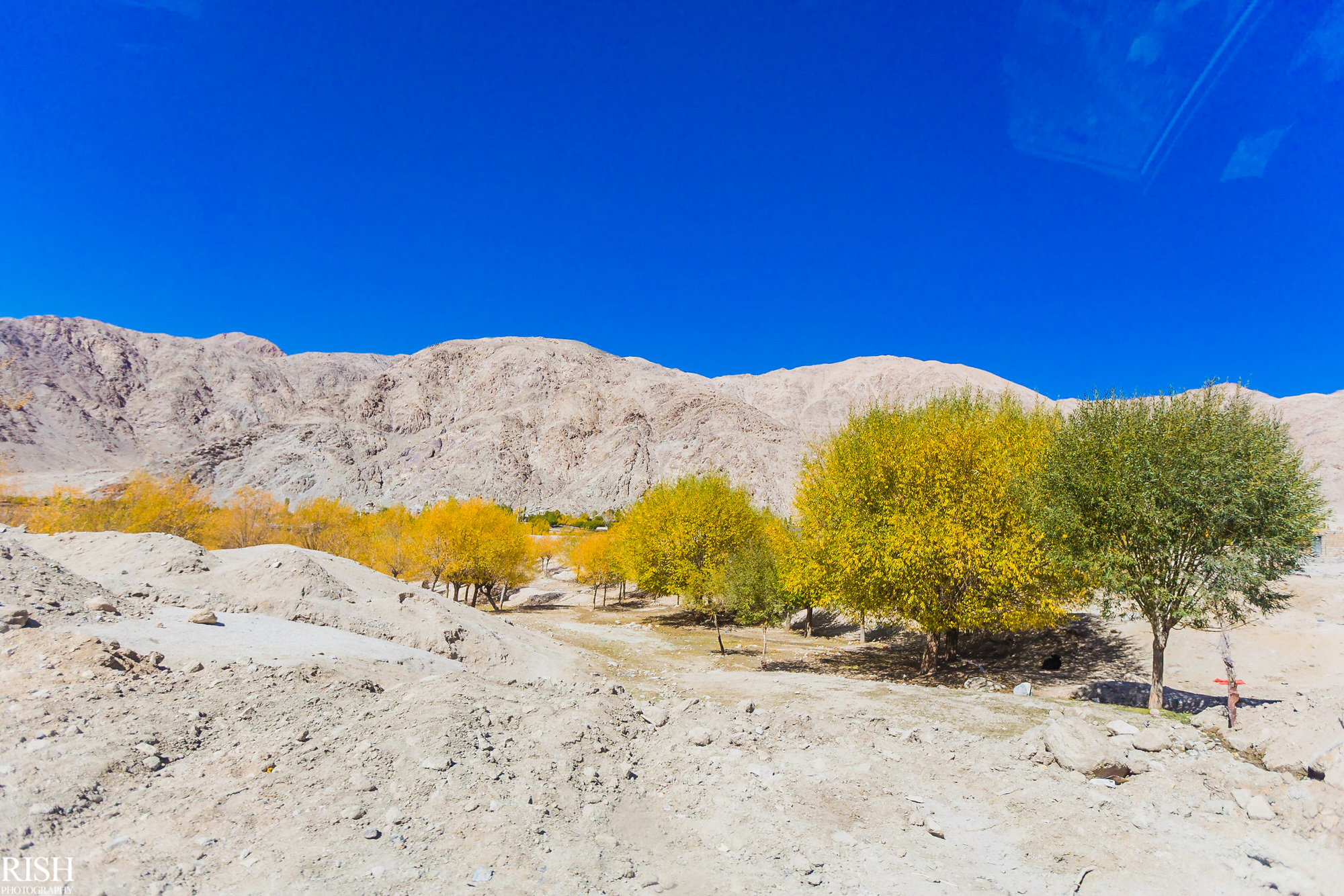 Leh - Ladakh Pre Wedding Shoot By Best Pre Wedding Photographer Delhi India